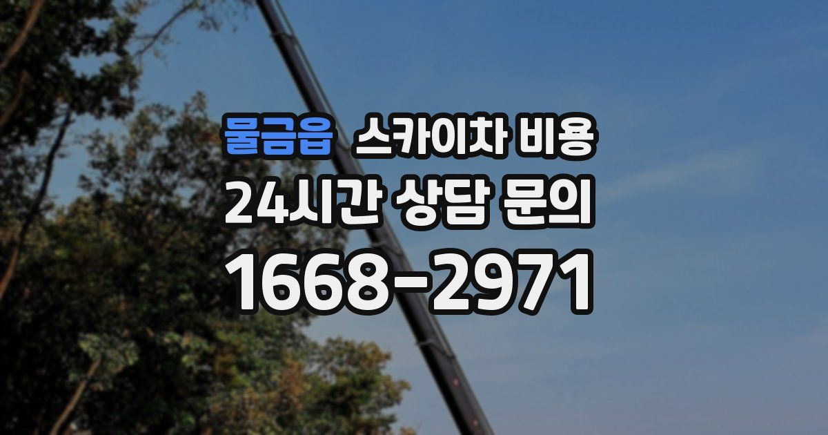 물금읍 스카이차 비용