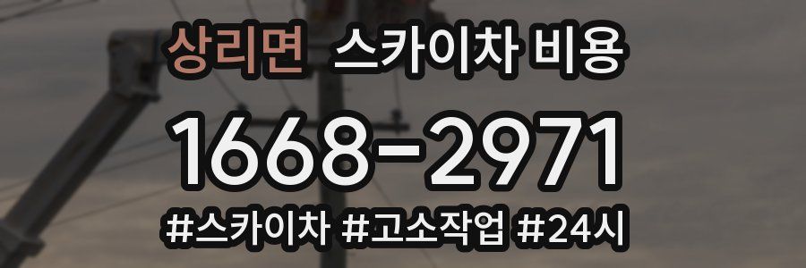 상리면 스카이차 비용