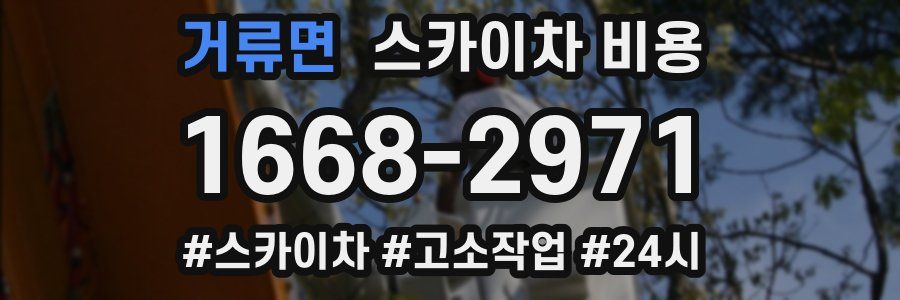 거류면 스카이차 비용