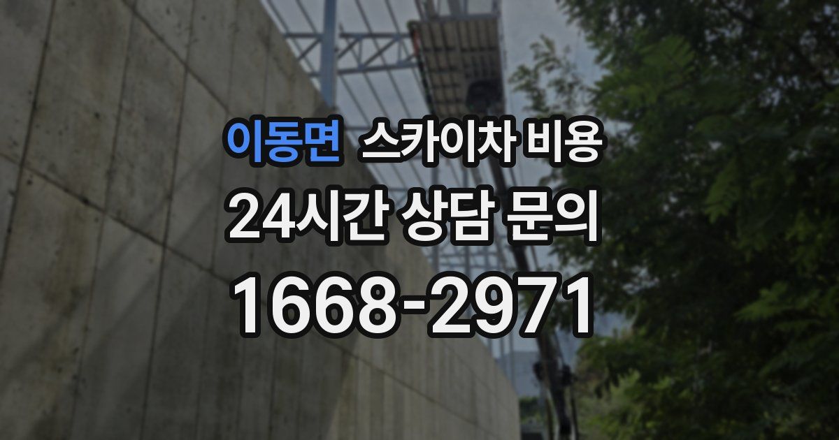 이동면 스카이차 비용