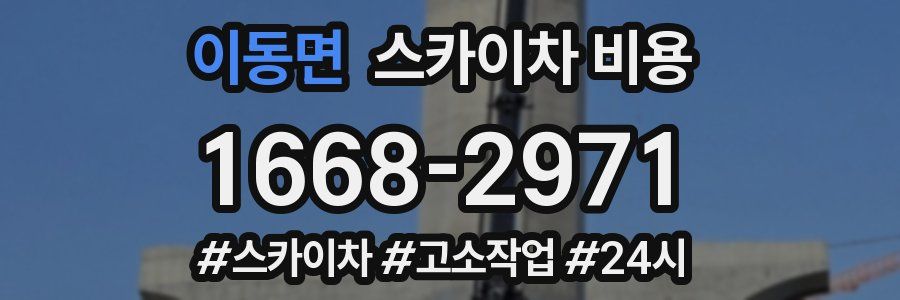 이동면 스카이차 비용