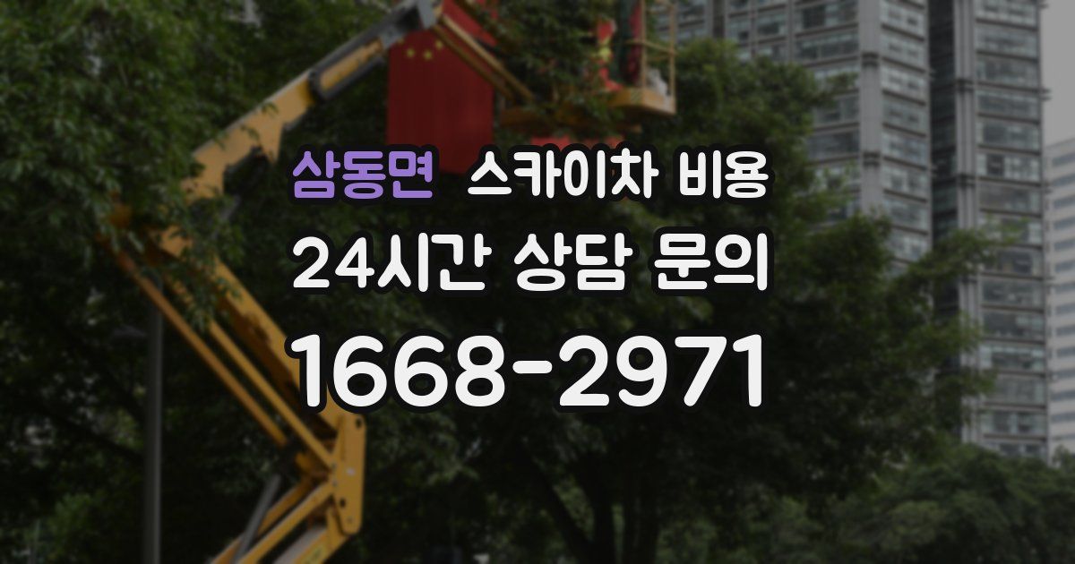 삼동면 스카이차 비용