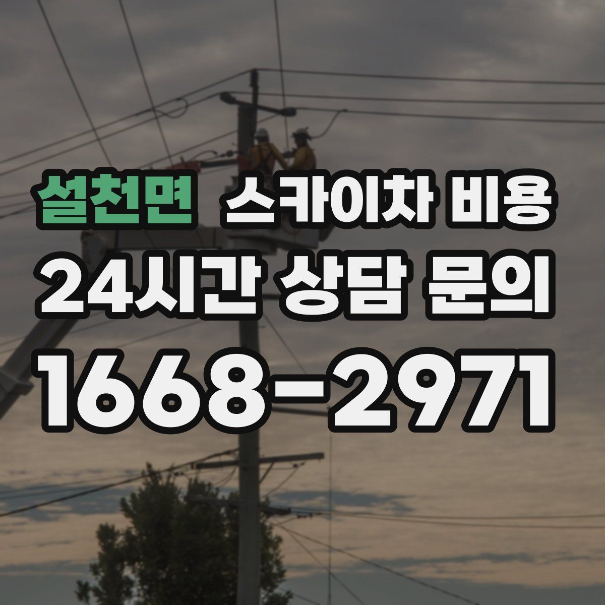 설천면 스카이차 비용