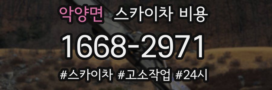 악양면 스카이차 비용