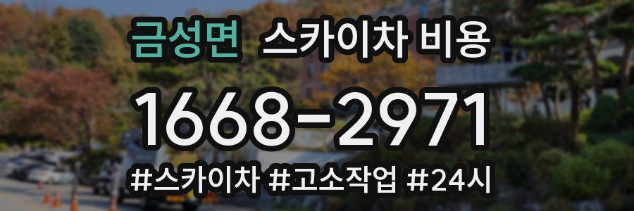 금성면 스카이차 비용
