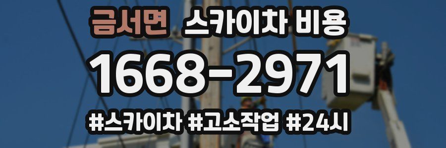 금서면 스카이차 비용