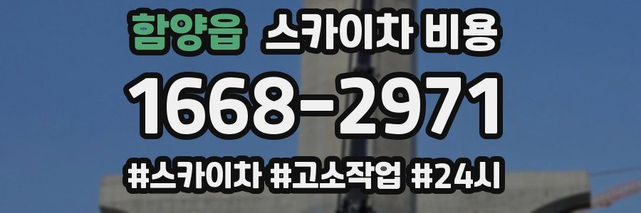 함양읍 스카이차 비용