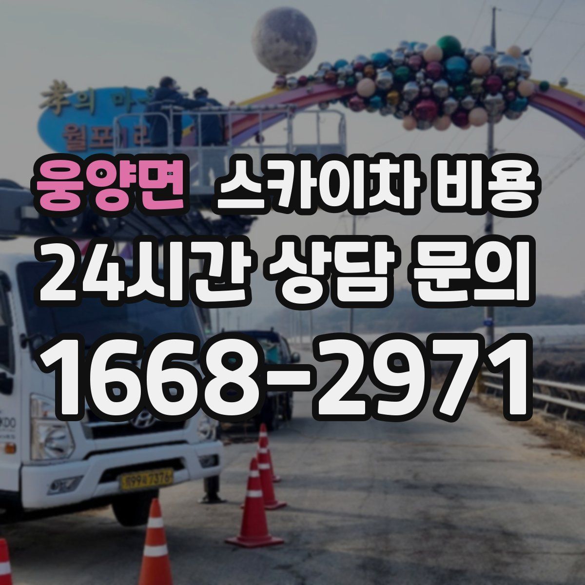 웅양면 스카이차 비용