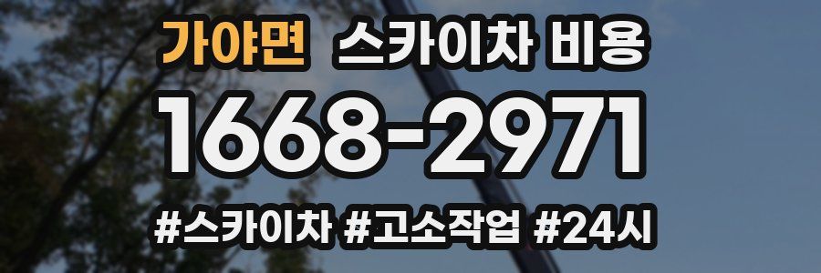 가야면 스카이차 비용