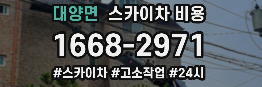 대양면 스카이차 비용