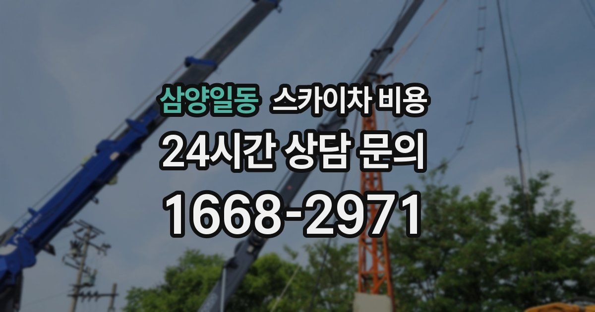 삼양일동 스카이차 비용