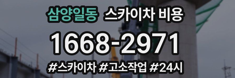 삼양일동 스카이차 비용