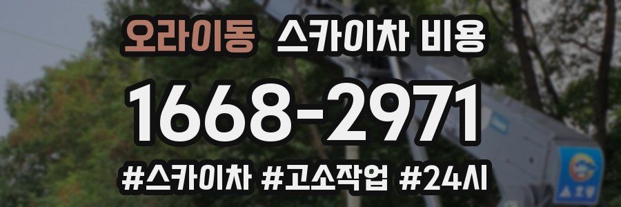 오라이동 스카이차 비용