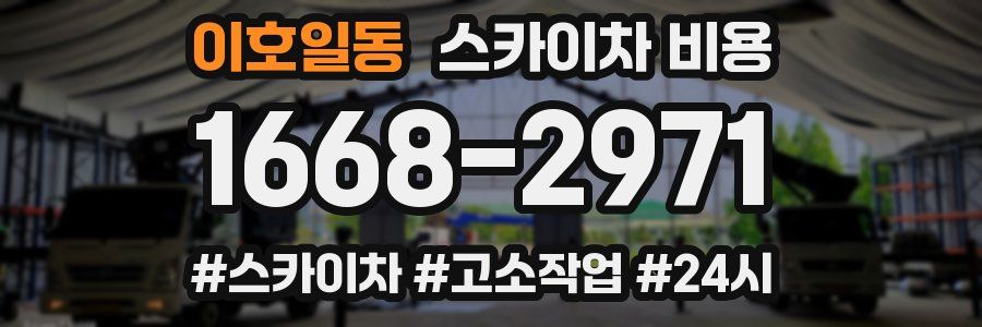 이호일동 스카이차 비용