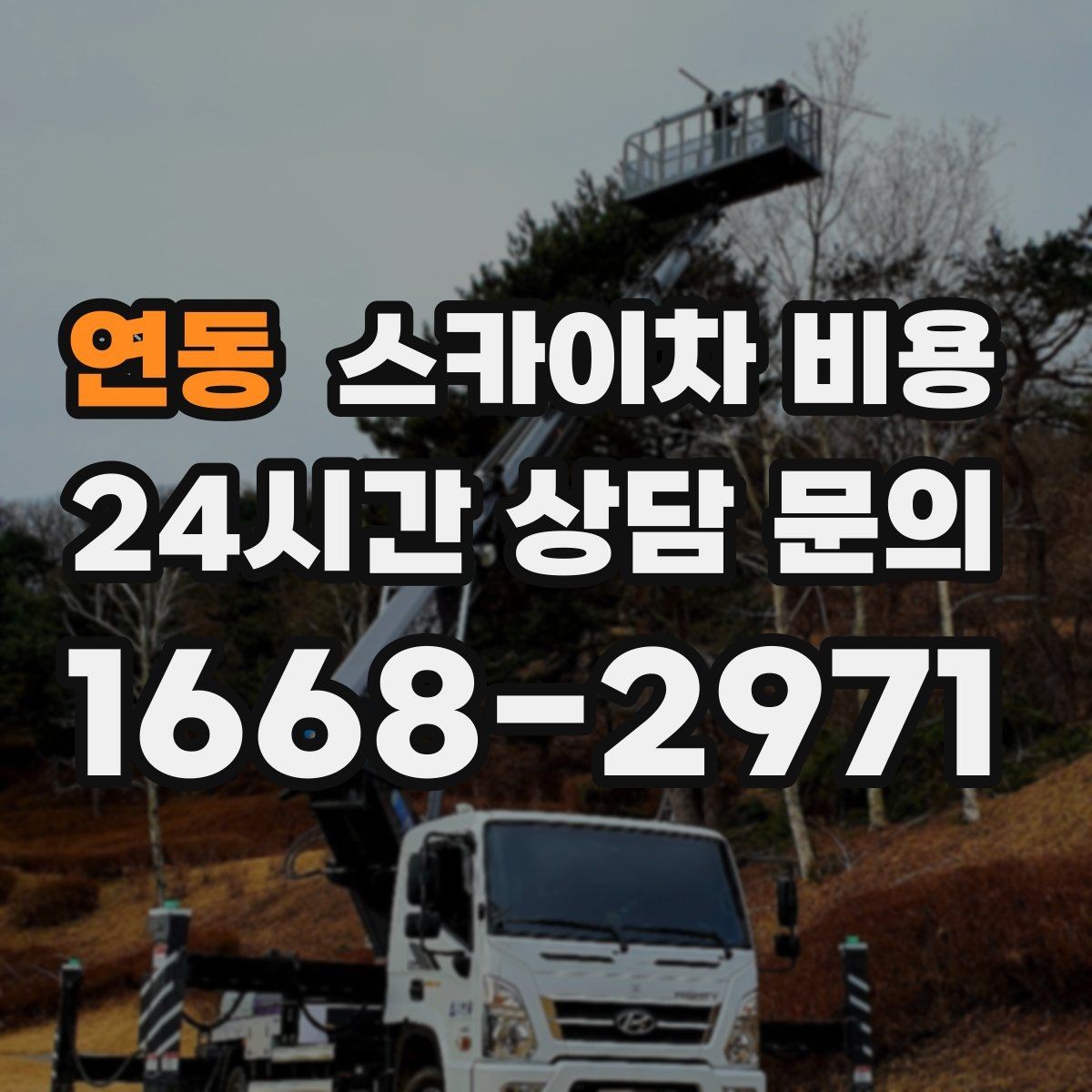연동 스카이차 비용 예약 호출이 필요한 현장 유형
