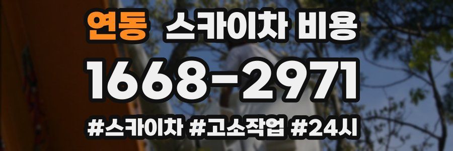 연동 스카이차 비용