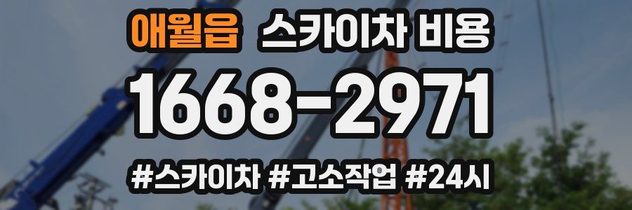 애월읍 스카이차 비용