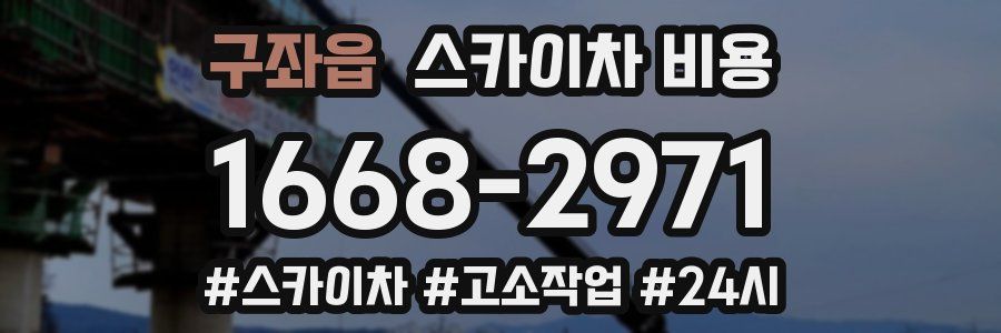 구좌읍 스카이차 비용