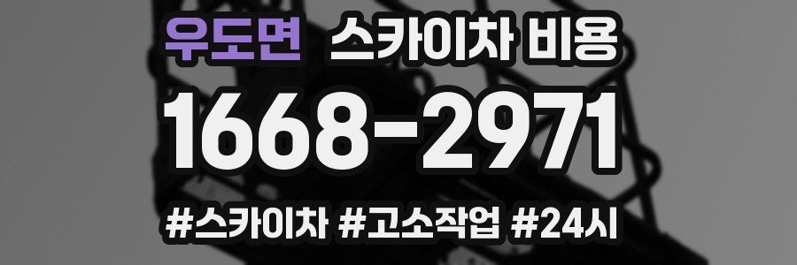 우도면 스카이차 비용