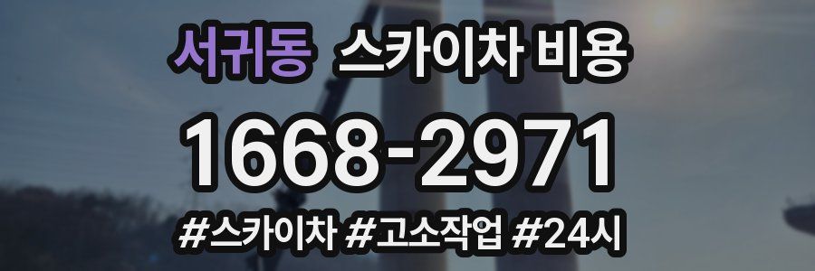 서귀동 스카이차 비용