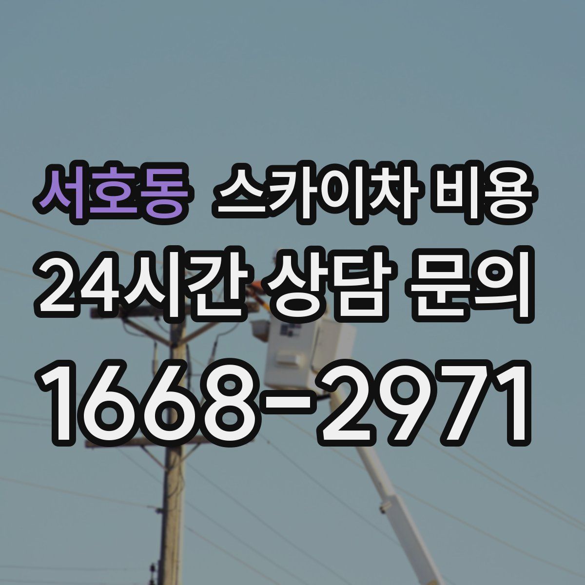 서호동 스카이차 비용