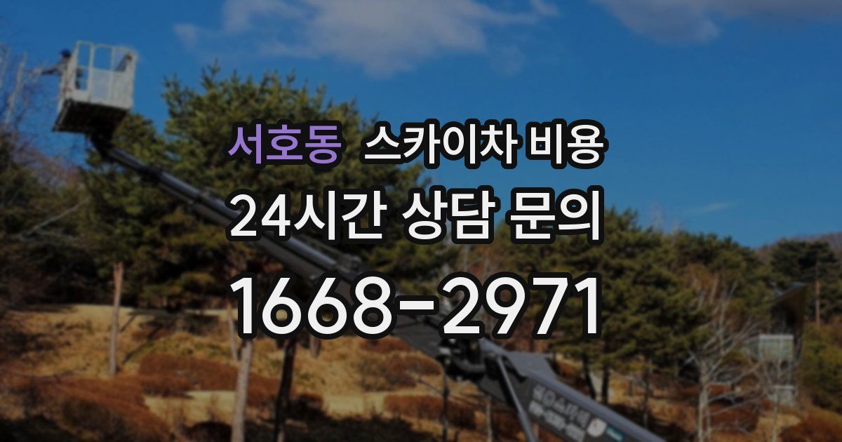 서호동 스카이차 비용