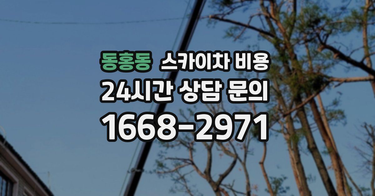 동홍동 스카이차 비용