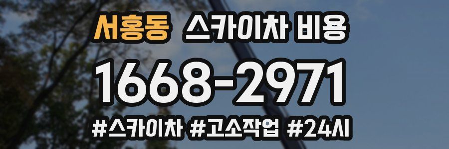 서홍동 스카이차 비용