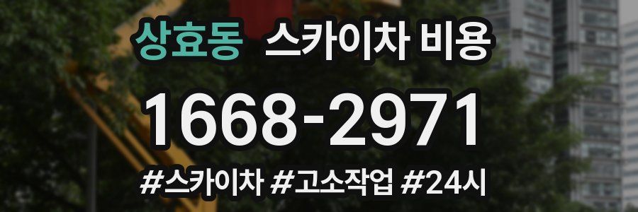 상효동 스카이차 비용