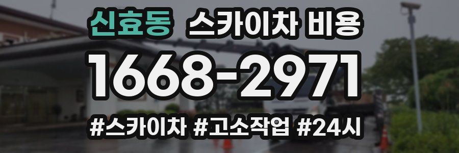 신효동 스카이차 비용