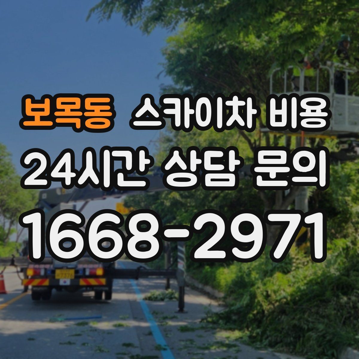 보목동 스카이차 비용 '포함'과 '별도' 항목을 구분하는 방법