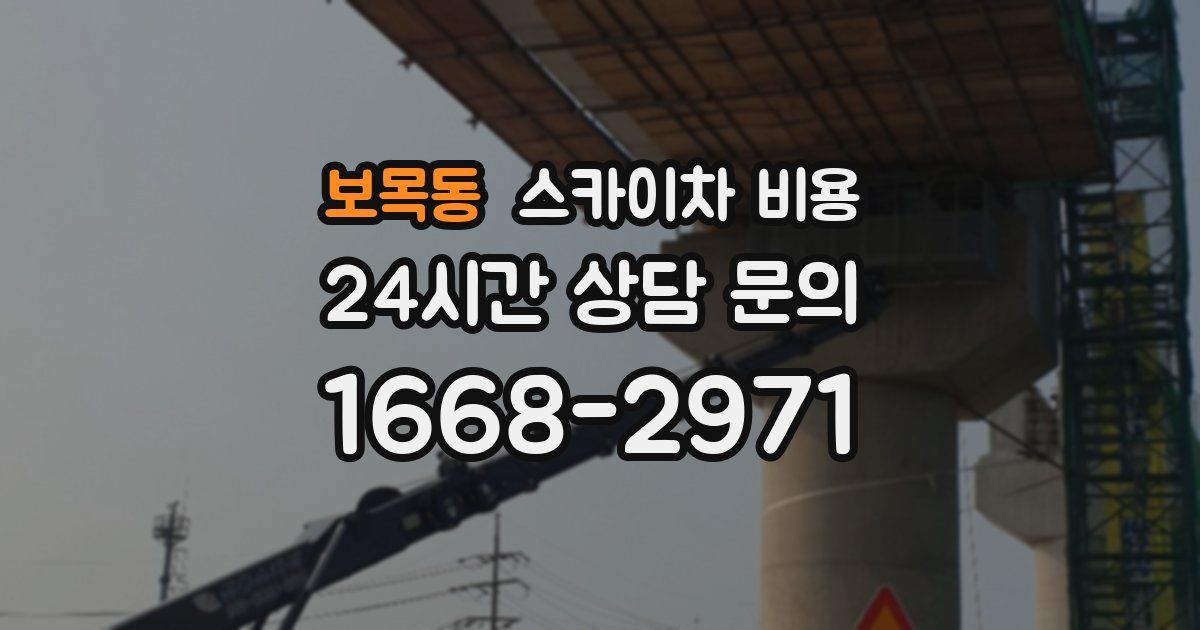 보목동 스카이차 비용