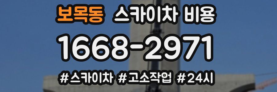 보목동 스카이차 비용