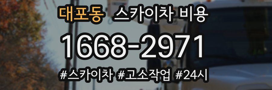 대포동 스카이차 비용