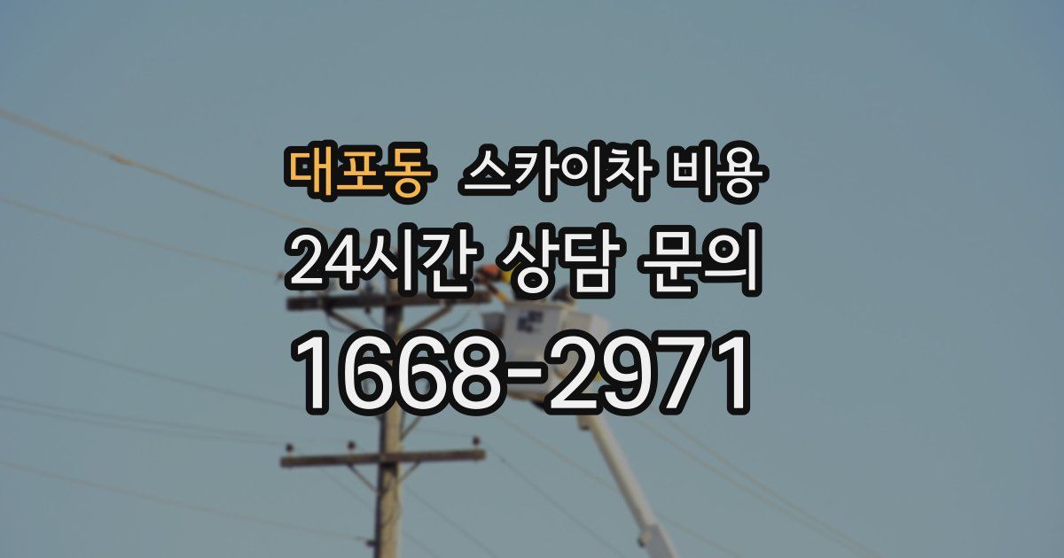 대포동 스카이차 비용