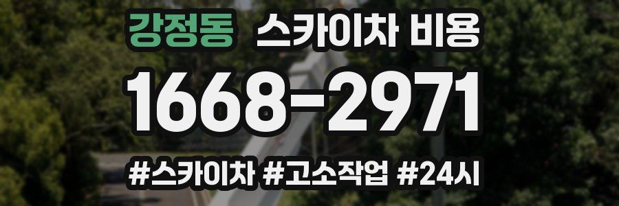 강정동 스카이차 비용