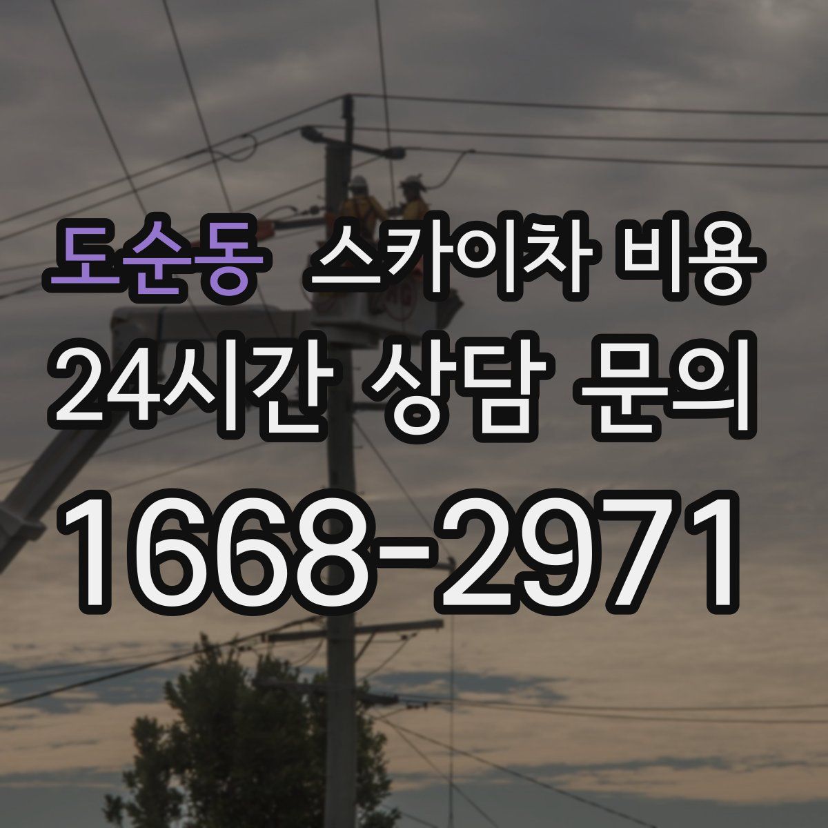 도순동 스카이차 비용