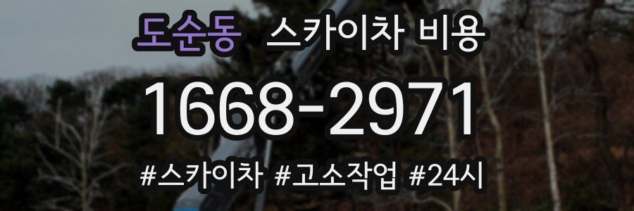 도순동 스카이차 비용