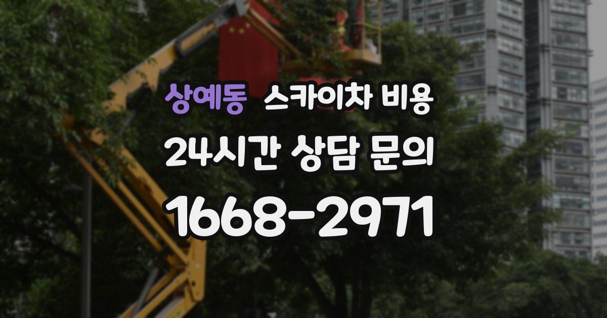 상예동 스카이차 비용