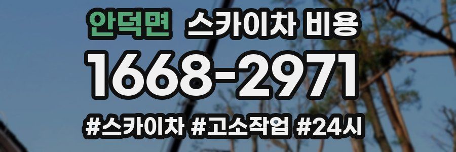 안덕면 스카이차 비용