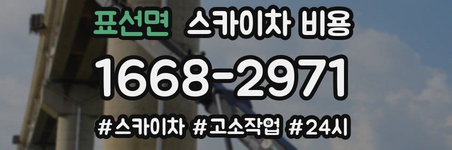 표선면 스카이차 비용