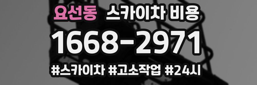 요선동 스카이차 비용