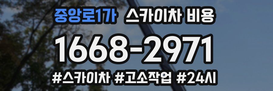 중앙로1가 스카이차 비용