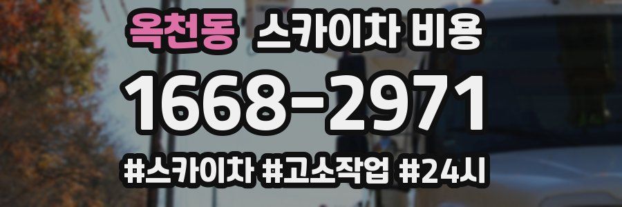 옥천동 스카이차 비용