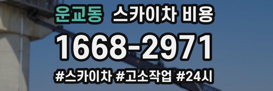 운교동 스카이차 비용