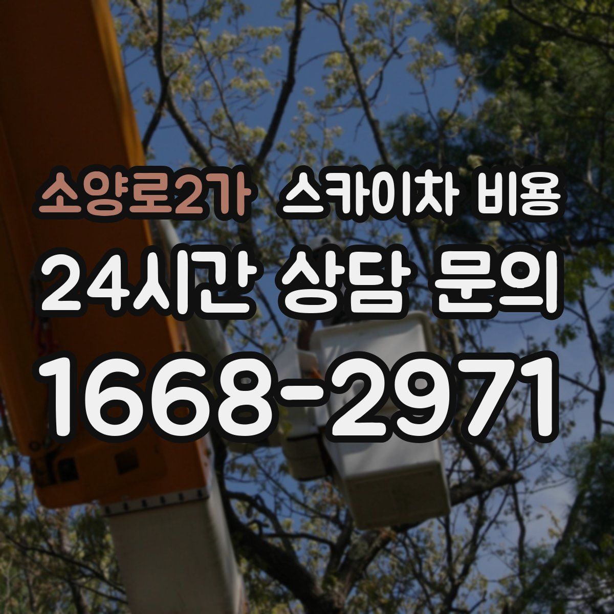 소양로2가 스카이차 비용