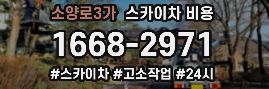 소양로3가 스카이차 비용