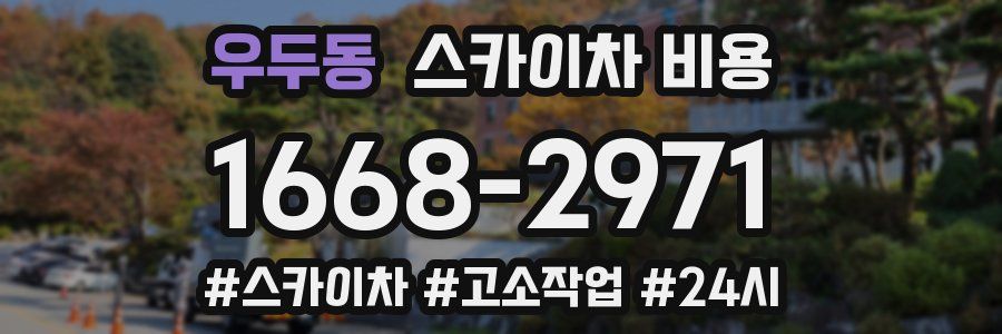 우두동 스카이차 비용