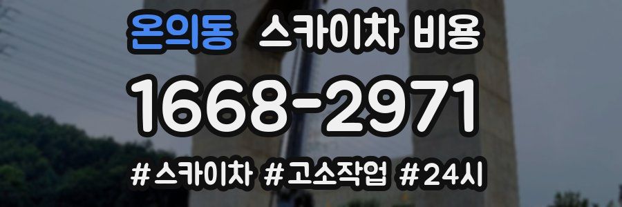 온의동 스카이차 비용