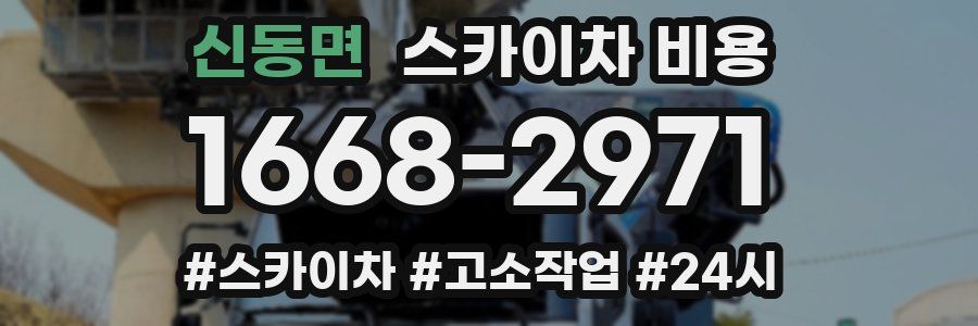 신동면 스카이차 비용